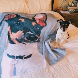 Custom Dog Blankets Personalized Pet Photo Blankets Painted Art Portrait