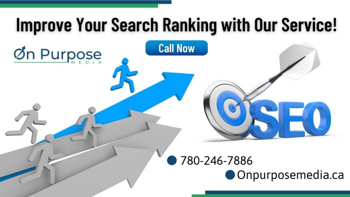 Find The Right SEO Service Company for Your Business