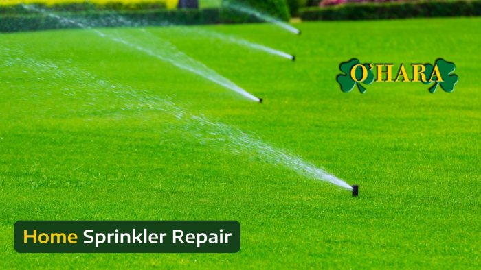 Fix Broken Irrigation Systems with O’Hara Sprinkler