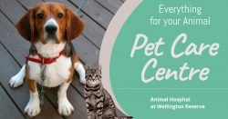 Getting Started With Animal Care