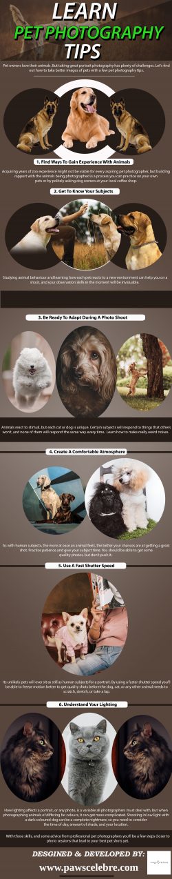LEARN PET PHOTOGRAPHY TIPS