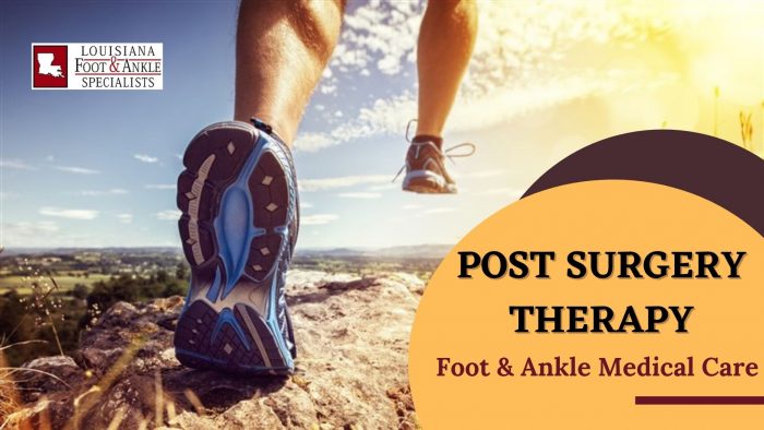 Productive Functions of Proper Ankle and Foot