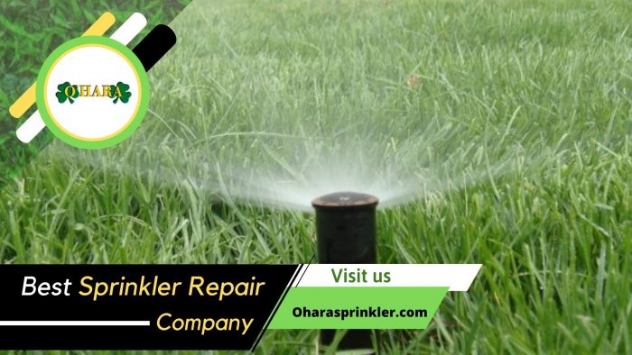 Professional Sprinkler Technicians for Your Home