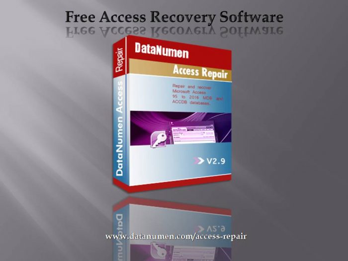 Free Access Recovery Software