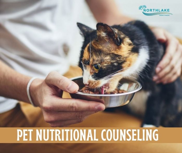 Health Diet for Healthy Pets