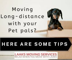 IS IT POSSIBLE TO MOVE LONG-DISTANCE WITH PETS SAFELY?