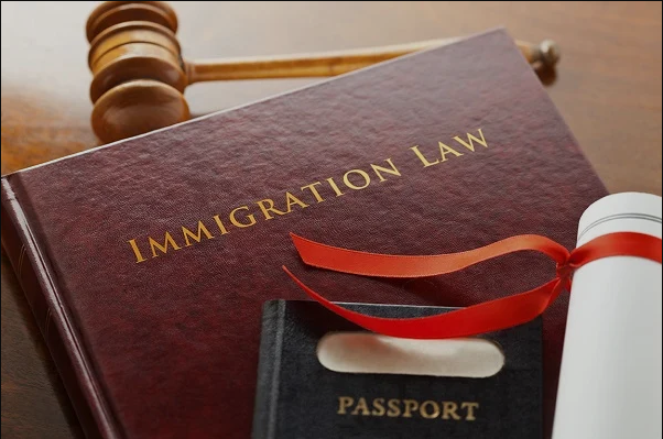 Immigration Lawyer and Services