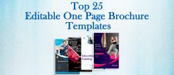 Top 25 Editable One Page Brochure Templates for Winning Clients