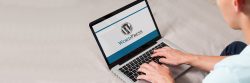 Why Should you Choose WordPress for Your Website?