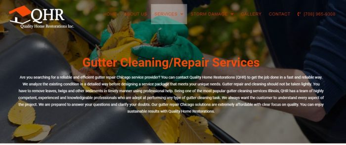 Gutters Cleaning Expert