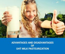 Milk Pasteurization Machine UK – Milky Day