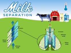 Process Used to Separate Cream From Milk – Milky Day