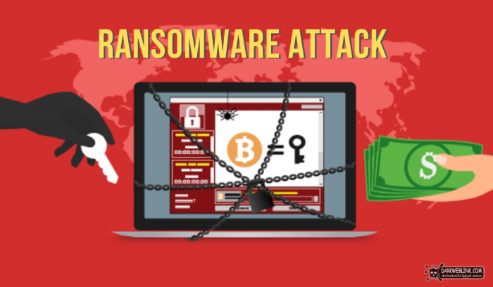 Should The Organizations Pay Ransom Following A Ransomware Attack?