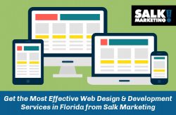 Get the Most Effective Web Design & Development Services in Florida from Salk Marketing