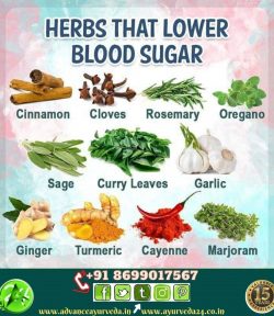 Herbs and Spices for Diabetes