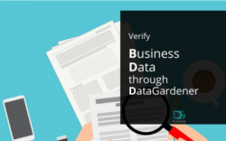 Use business data to make an informed business decision