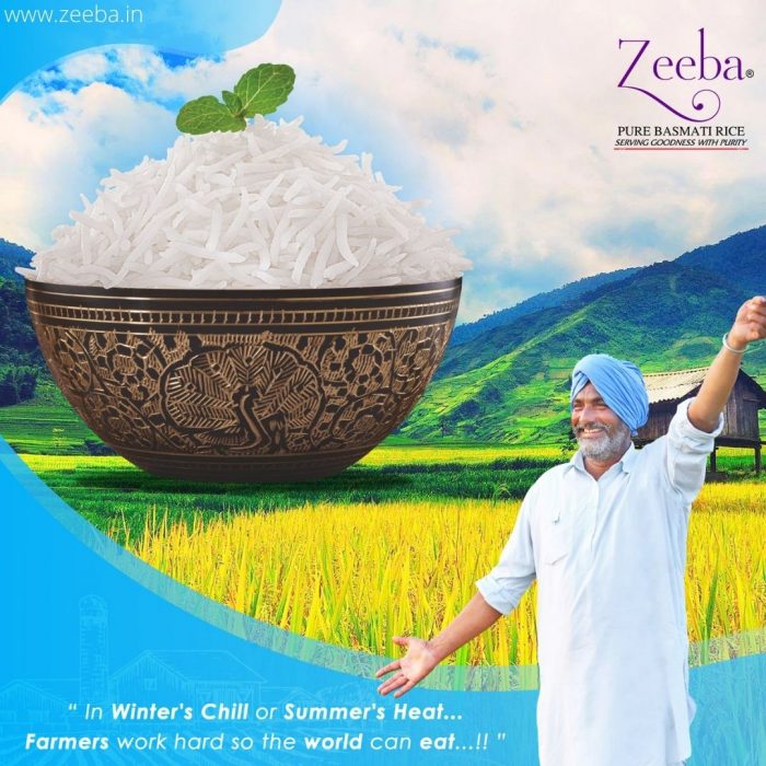 Buy Best Indian Basmati Rice at Affordable Prices- Zeeba