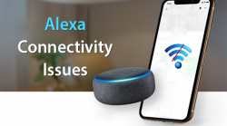 Alexa connectivity issues