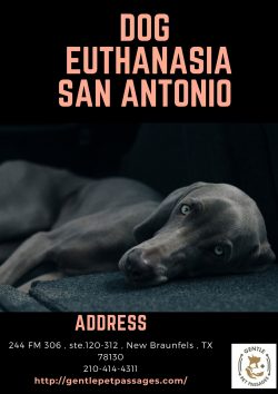Dog Euthanasia San Antonio – Gentle Pet Passages