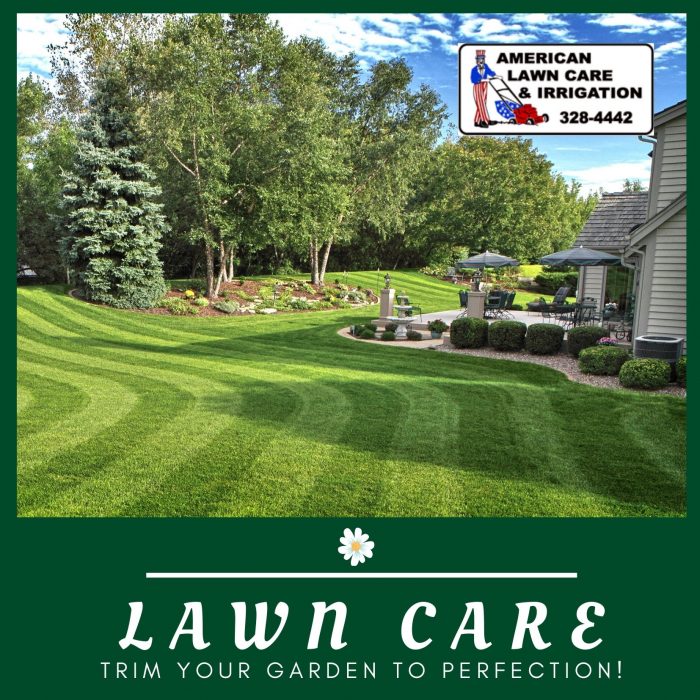 Keeping your Lawn Perfect and Healthy