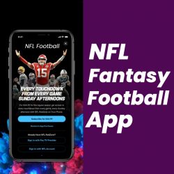 NFL Fantasy Football App Development Company – Want to build a Fantasy Sports Mobile App l ...