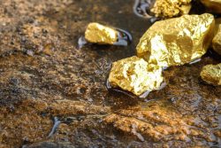 Roman Rubin – Investing in Gold Equities