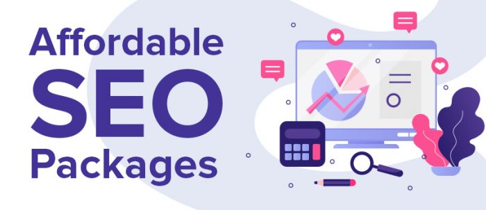 Factors to consider before choosing cheap SEO packages for your business