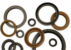 High qualified oil seal gasket manufacturer in CHINA