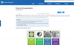 Enzyme Encapsulation