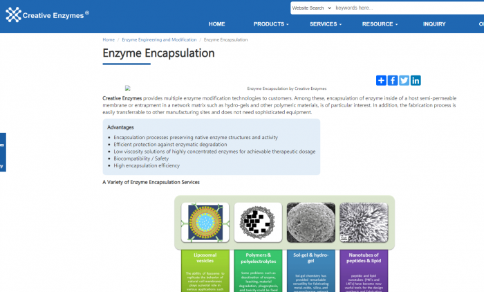 Enzyme Encapsulation