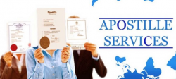 Fast and Easy to Use U.S. Apostille Services | The Spanish Group