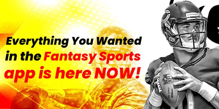 Fantasy Sports Mobile App Development Company – Guide to Start a Fantasy Sports Platform