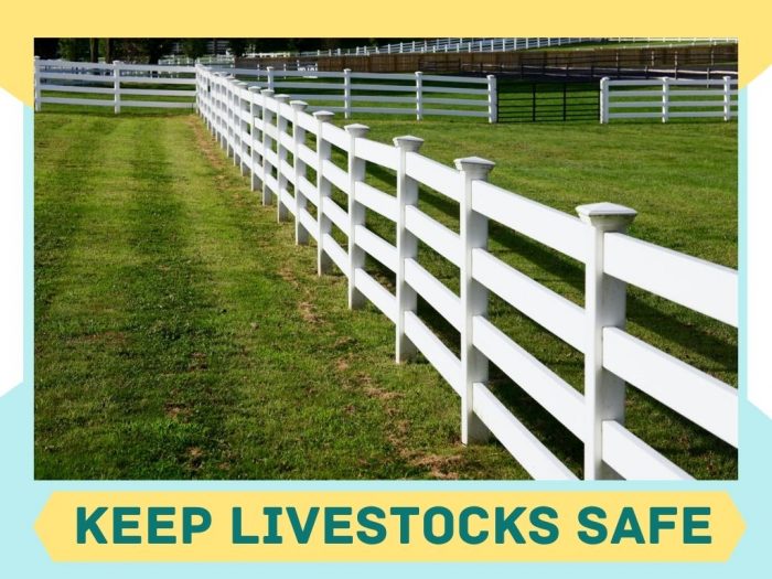 Choose Right Fence for Ranch or Farm