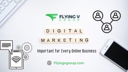 Achieve Your Business Goals with Flying V Group