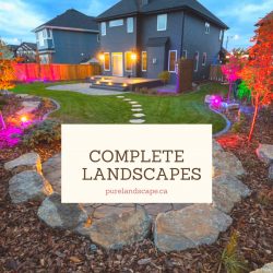 Landscaping company – Complete landscapes 