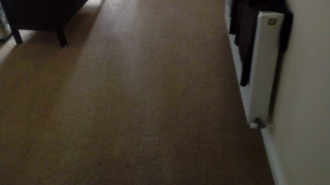 A Look At Some Of The Myths Concerning Carpet Cleaning