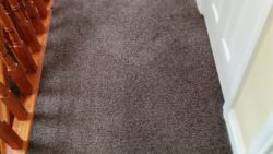 Comparing Spray Versus Plastic Carpet Protectors For Maintenance After Carpet Cleaning
