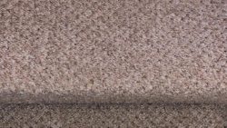 Comparing Different Carpet Cleaning Methods