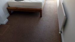 How You Can Prolong The Life Of Your Carpet