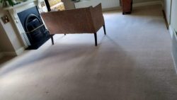 How Often Your Carpet Should Be Cleaned