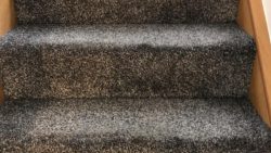 Why You Should Get Your Wet Carpet Dried As Soon As Possible