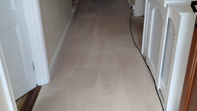 Carpet Cleaning For Homes And Businesses