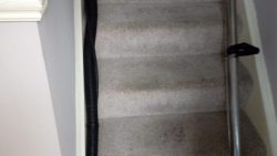Keeping Your Carpet In Shape With Quality Cleaning Services