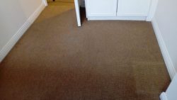 Crank Up Your Gift Giving With Quality Carpet Cleaning Services