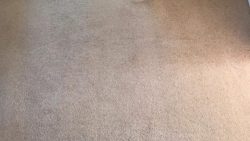 Carpet Cleaning Greenhills