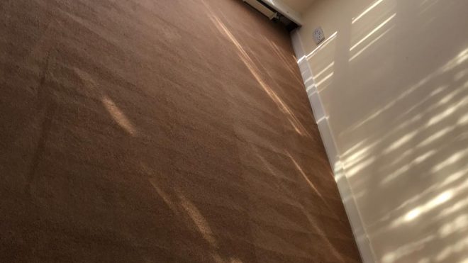 Carpet Cleaning Terenure