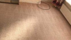 Carpet Cleaning Sandymount