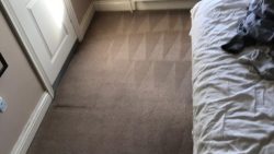 Carpet Cleaning Rush