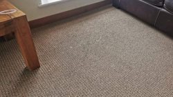 Carpet Cleaning Dublin 24