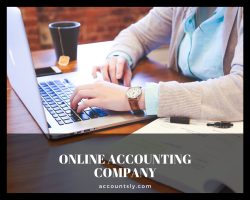 Online accounting company